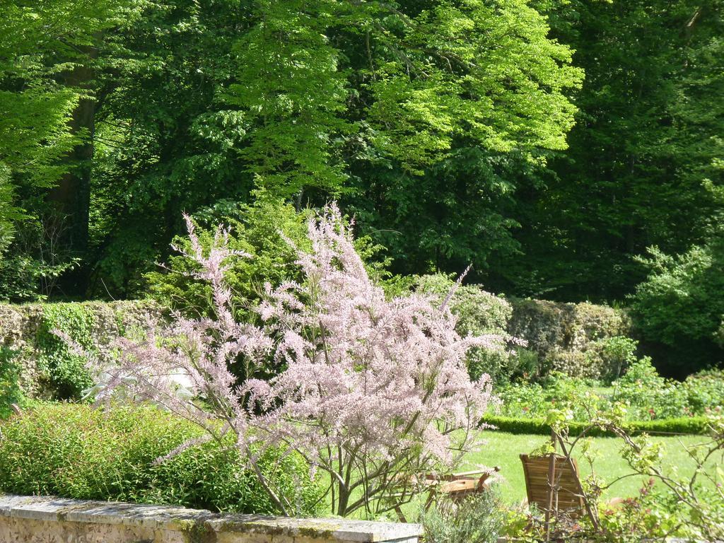 Le Clos Saint Nicolas Château-Renard Exteriör bild