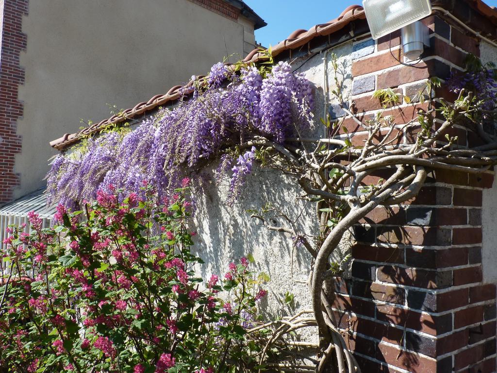 Le Clos Saint Nicolas Château-Renard Exteriör bild